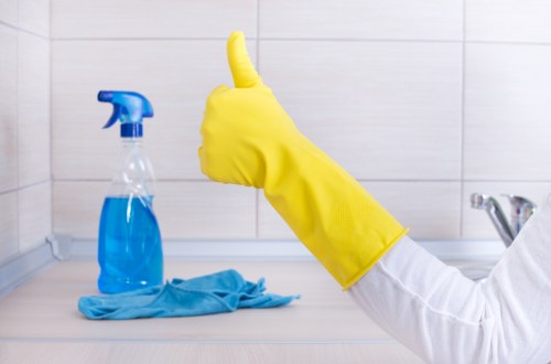 Thorough bathroom cleaning services