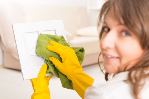 London domestic cleaner providing tailored cleaning services