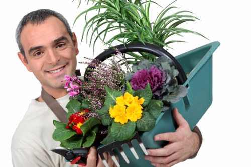 Eco-friendly cleaning solutions for upholstery